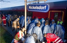 Hungary ngừng hỗ trợ chở người di cư đến biên giới Áo 